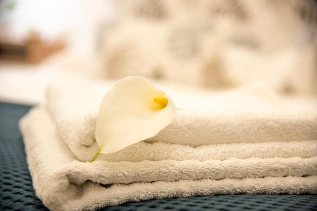 Asciugamani e fiore di calla